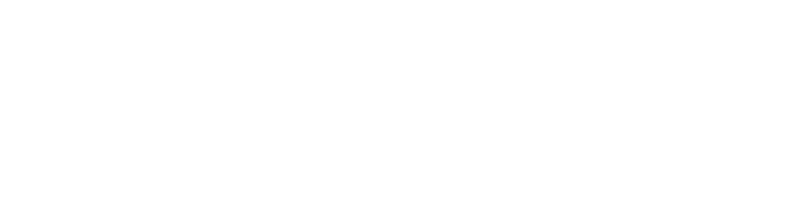 Videosync logo